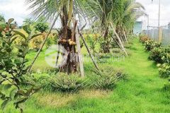 Tôi là chủ đất dân địa phương muốn bán gấp