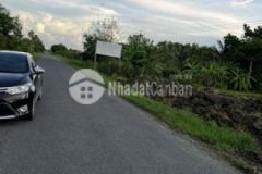 Đất cln giá 1 5trm2 tỉnh lộ 904
