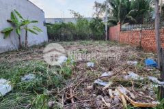 Nền thổ phường 3 tpvl mua cất được 2 căn nhà