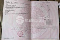 Trung lập thượng 33x31m 1ty ngộp