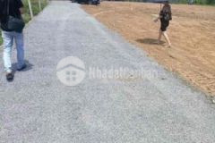 Diên xuân diên khánh ngang gần 200 m dt 1 hec1