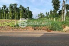 Bán đất mặt tiền 10x76m đường nhựa ấp 3 lâm san