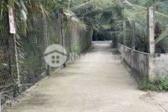 Kẹt tiền đất tmc cách n5 chỉ 100m hẻm xe hơi