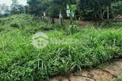 Mặt tiền ql14 p bình tân thị xã buôn hồ