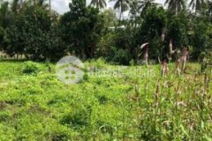 Đất nền xã tân long huyện mang thít tỉnh vĩnh long