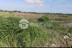 Bán 22 công đất ao tôm gần cảng trần đề thuộc ấp nam chánh, xã lịch hộị thượng, trần đề, sóc trăng