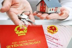 Ban nha phương 14 tân binh. hem xe hơi đương trường chinh. nhà 2 căn ngang 10m. gia 8 ty 8