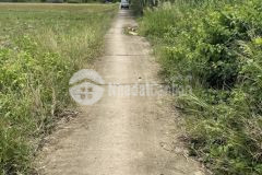 Bán nền mặt tiền lộ đal gần trường học gần trạm y tế tại xã thạnh thới thuận, huyện trần đề, tỉnh só