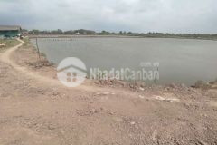 Cần bán gấp hơn 25.000m2 đất đang nuôi tôm tại ấp mõ ó, xã trung bình, huyện trần đề, tỉnh sóc trăng