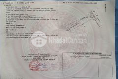 Bán nhà cấp 4 và đất thị trấn búng tàu, huyện phụng hiệp, tỉnh hậu giang.