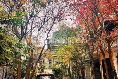 Chính chủ bán nhà 63m2 x 4 tầng khu phân lô ba đình