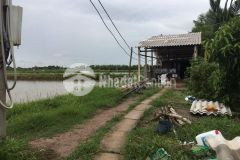 Bán đất khu vực cảng trần đề, xã liêu tú, h. trần đề, sóc trăng