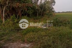 Bán đất 16000m2 thuộc thuộc địa phận viên an. trần đề. sóc trăng