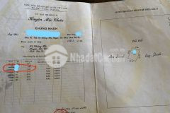 Mảnh đất vàng free vườn cây ăn quả, gần ql6.