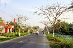 Bán đất nền chợ long hưng, đường n3 xã long hưng, huyện mỹ tú, tỉnh sóc trăng.