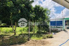 Chủ gửi bán nền mặt tiền, rạch giồng ổi, phú thứ, cái răng, cần thơ