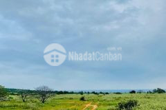 Bán lô đất vườn ven biển bình thuận 2800m2, giá bán 560 triệu, sổ hồng riêng, bao sang tên