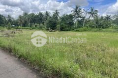 Bán đất mặt tiền lộ đal ấp lâm dồ, xã đại ân 2, huyện trần đề, tỉnh sóc trăng