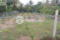 Đất ruộng mặt tiền đường tỉnh 939, vị trí giáp ranh xã mỹ hương an ninh gần công ty gala, cách u