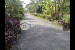 Bán đất mặt tiền tỉnh lộ 927 tại xã phụng hiệp, huyện phụng hiệp, tỉnh hậu giang.