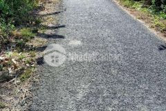 Bán 1,572m2 đất cây lâu năm mặt tiền lộ nam sông hậu xã an lạc tây huyện kế sách sóc trăng.