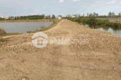 Cần bán gấp hơn 25.000m2 đất đang nuôi tôm tại ấp mõ ó, xã trung bình, huyện trần đề, tỉnh sóc trăng