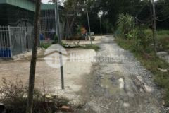 Bán đất vi bằng 60m2 150tr