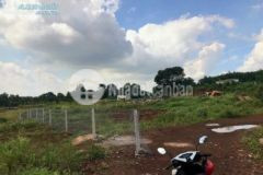 Bán 8700m2 đất cln bàu trâm long khánh sổ riêng