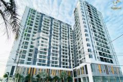 Độc quyền giỏ hàng 60 căn ricca sổ đỏ giá tốt