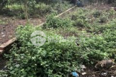 Bán đất thổ cư xã hòa phú củ chi 4 301980m2