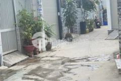 Nhà mới gần hẻm xe hơi giá rẻ