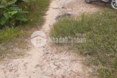 Bán đất khu phố phước hậu 12 40 x 53 nở hậu 15