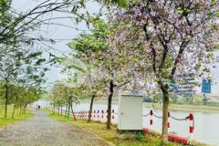 Cần tiền bán gấp 123m full thồ cư thôn 9 tân xã