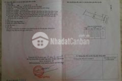 Đất rẻ phước hiệp củ chi