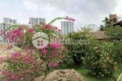 Bán nhà mt q7 mt gò ô môi 7x37 giá 110 tr1m2