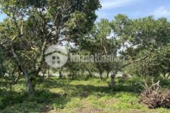 Đất chính chủ view sông cần bán