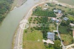 Đất bám sông bôi mị hòa kim bôi hòa bình