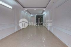 Nguyễn tuân thanh xuân thang máy 50m 7 95 tỷ