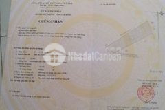 Bán đất chính chủ 5trm2