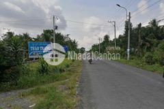 Bán 8 công đất mặt tiền tl 909 xã hậu lộc tam bình