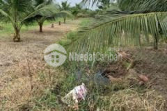 Đất khu công nghiệp giao long bến tre