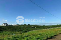 Chính chủ cần bán lô đất 11 49 tp bảo lộc