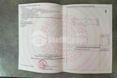 1000m2 cửa ngõ sân bay đường bê tông phủ hồng