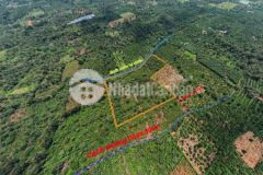 Cần bán 1 7ha đất rẫy tại eakao sau có suối