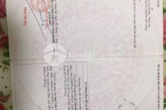 Cần bán 25x21m 523m2 phú mỹ tóc tiên 1 tỷ 230tr