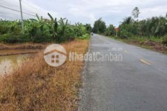 Cần bán gấp khách thiện chí mua lh