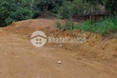 Bán đất phường xuân khanh thị xã sơn tây hà nội