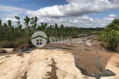 Đất 3 mặt tiền liên xã eanuol phủ hồng ont 100