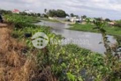 Đất vewsông bình nhân thuận an bình dương