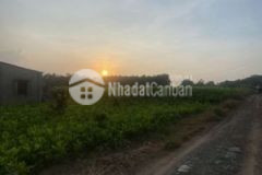 Bám đât có nhà view suối